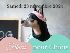 Fitness Chiots Anima Pattes