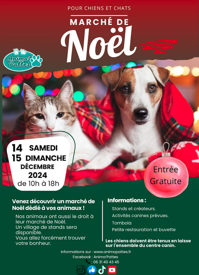 Flyer Marché de Noël 2024