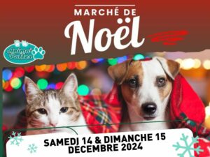 Marché Noël 2024 Animapattes