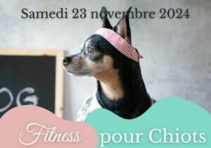 Fitness Chiots Anima Pattes