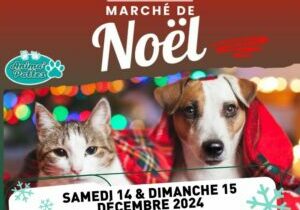 Marché Noël 2024 Animapattes